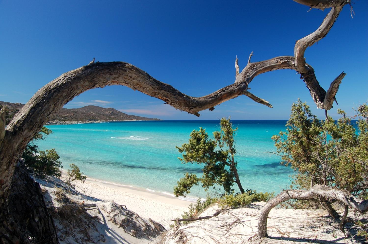 Villa Pergola Bastia  Esterno foto